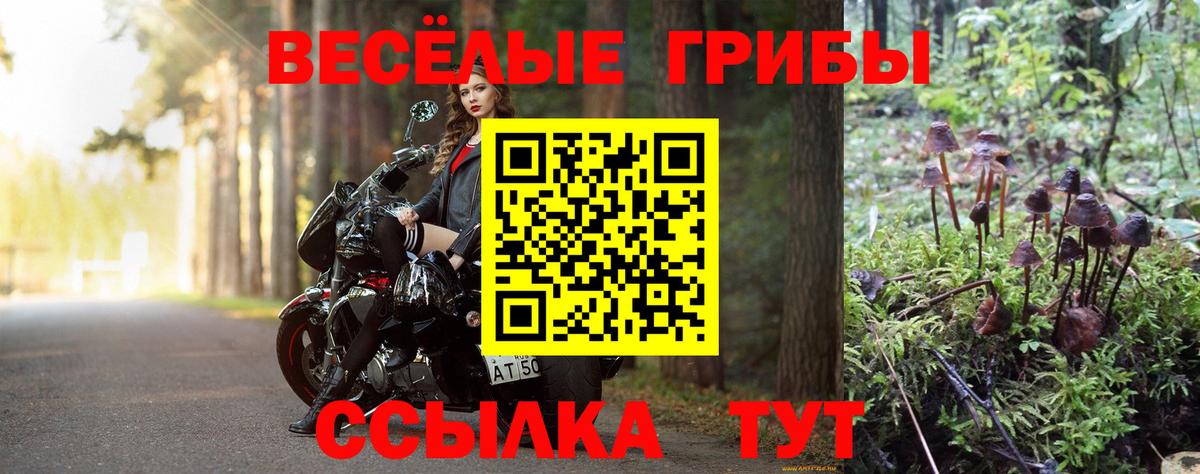 Галлюциногенные грибы Magic Shrooms Серов