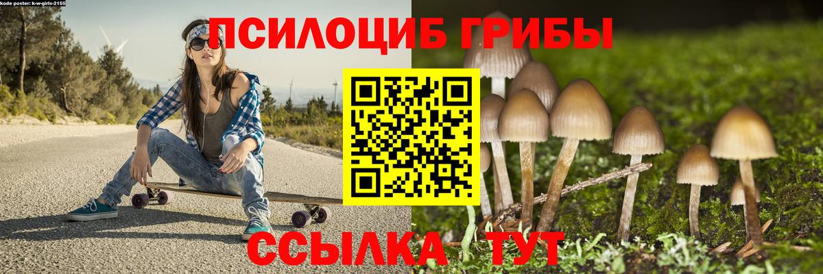 магазин продажи   Вход с VPN  Серов  Галлюциногенные грибы Cubensis 